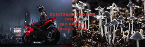 ПСИЛОЦИБИНОВЫЕ ГРИБЫ Елизово